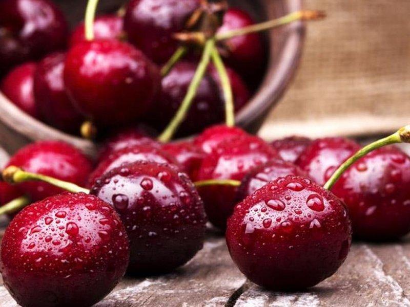 Вишня купить саженцы из питомника в Петрозаводске